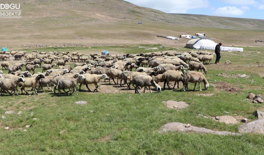 Tarım Sektörü İçin Yeni Destekleme ve Üretim Planlaması Toplantıları Düzenleniyor