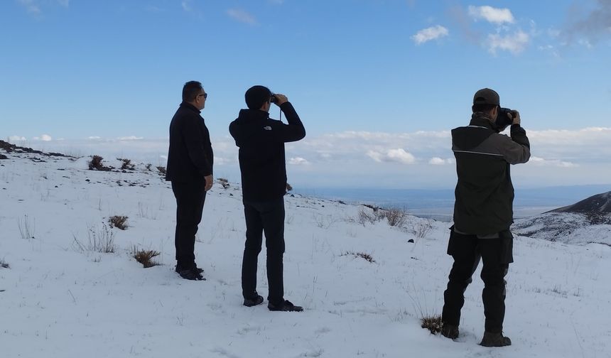 Iğdır’da Yaban Hayatını Koruma Çalışmaları Karlı Alanlarda Devam Ediyor