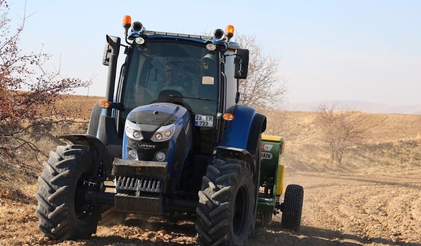 Elazığ’da organik mercimek üretimi artıyor