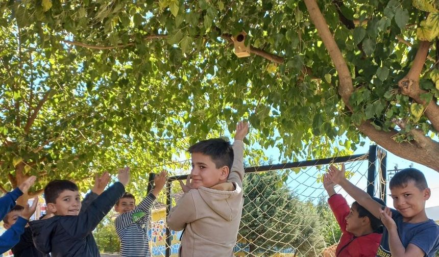 Silvan'da kuş yuvaları ile ekosisteme katkı