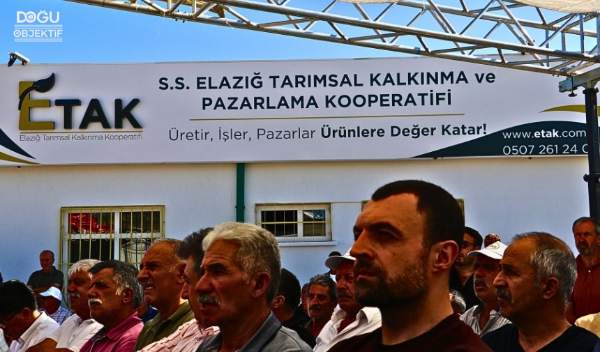 Elazığ Kayısı Paketleme Tesisi 1