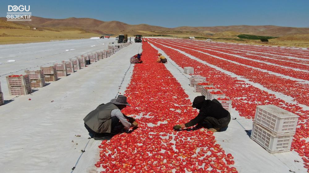 Elazığ'dan Dünya Sofralarına1