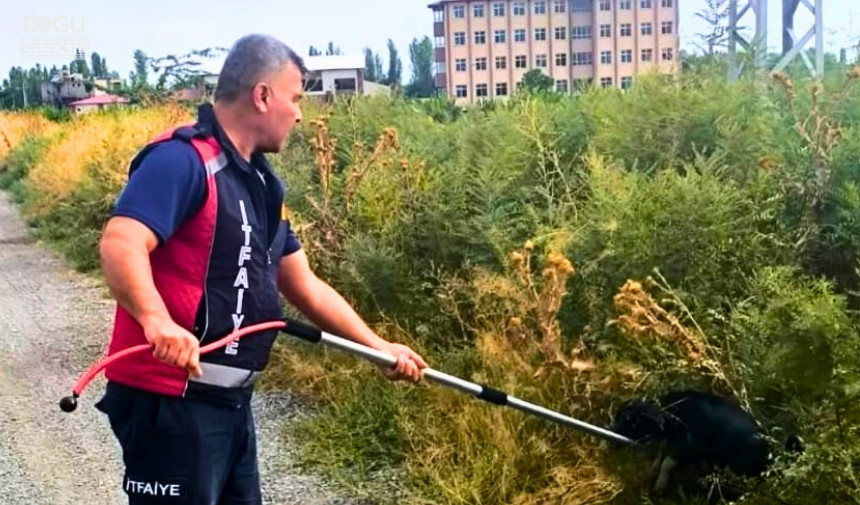 Iğdır Itfaiye, Sulama Kanal Temizliği, Sokak Hayvanları Su Kuyusu (2)