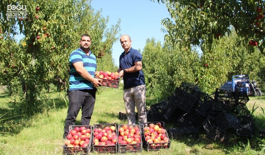 Iğdır Nektar Hasadı, Erkenci Nektar, Iğdır Tarım Müdürlüğü 11