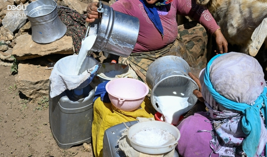 Van Berivanlar, Hayvancılık, Yayla Yolculuğu 1