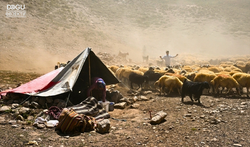 Van Berivanlar, Hayvancılık, Yayla Yolculuğu