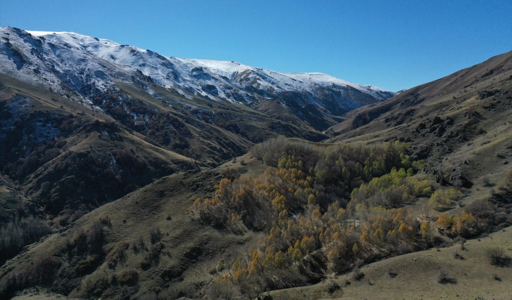 Ağrı Dağı Rota Doğa Ekoloji