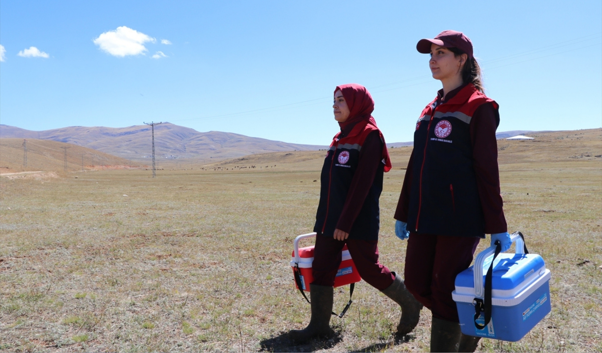 Erzurum'da Hayvan Sağlığını Kadın Veterinerler  Koruyor 1