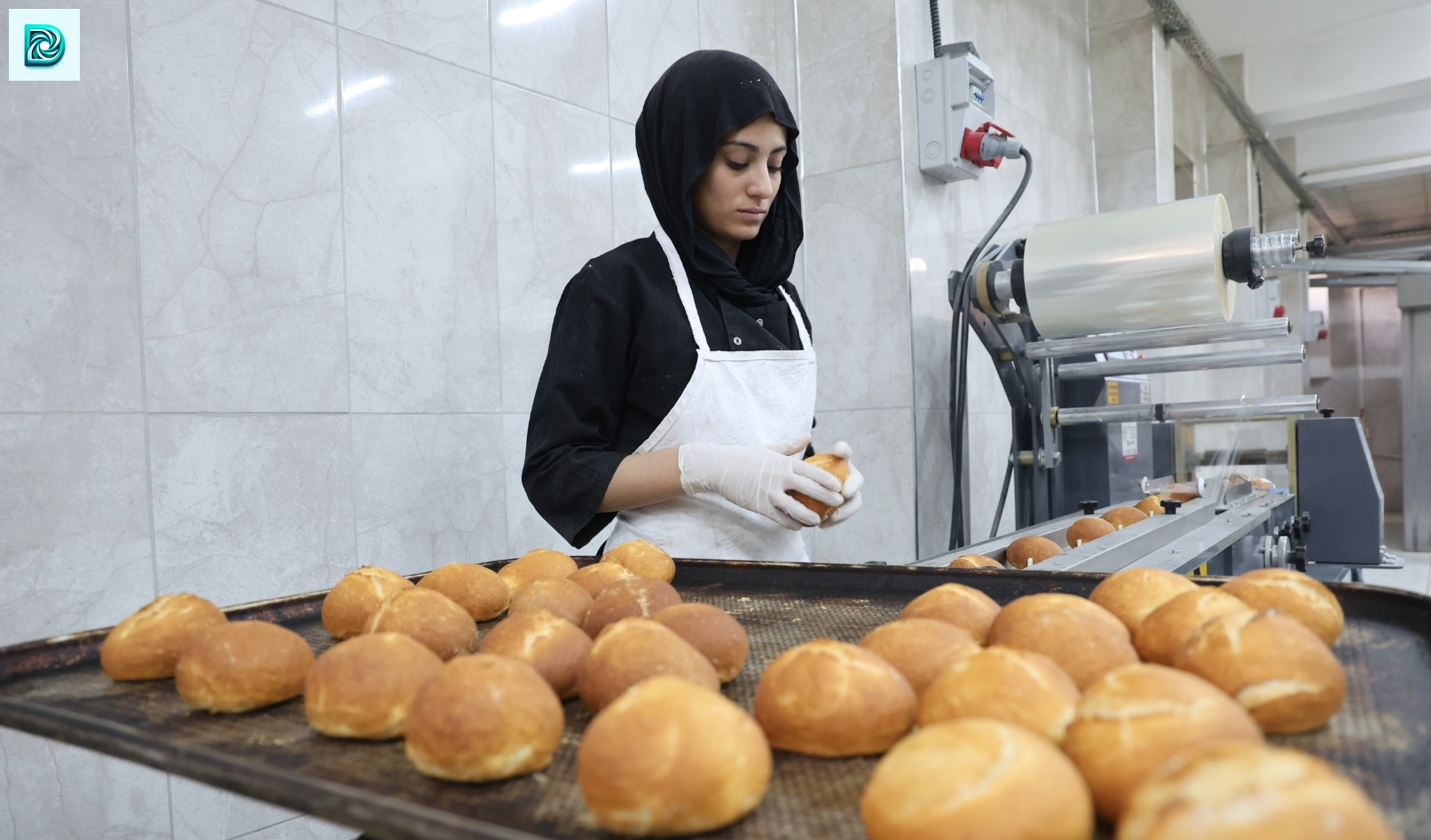 Fırın Gibi Okul Günlük 4 Bin Ekmek Üretiliyor, Yılda 2 Milyon Lira Kazanıyor 2