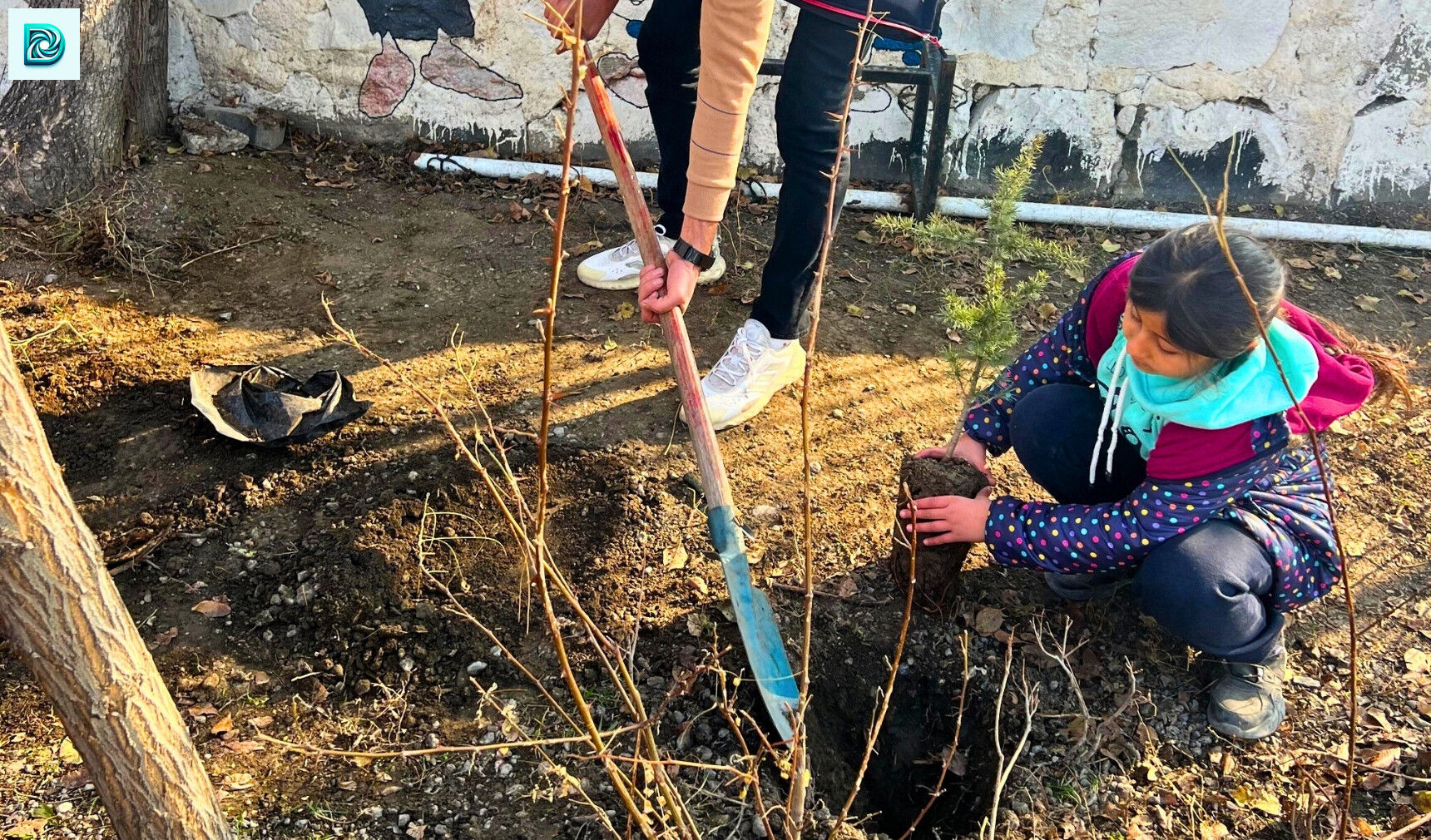 Toprak Günü, Iğdır Tarım Orman Müdürlüğü, Fidan Dikimi 1