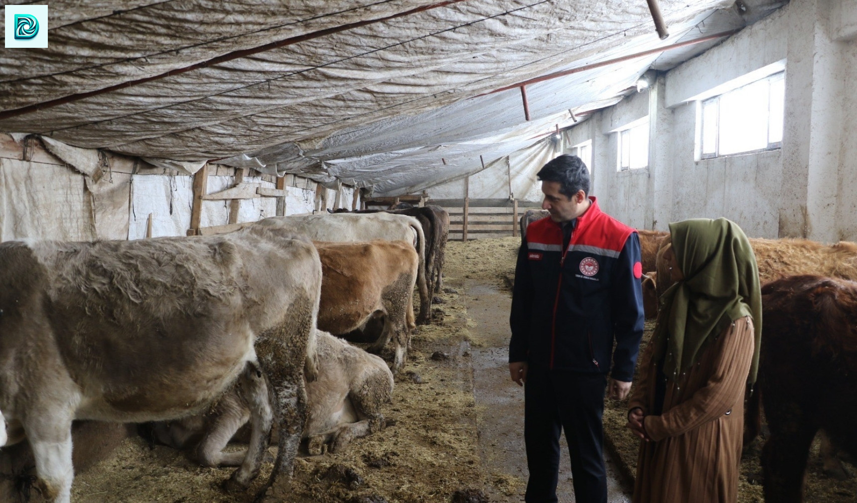 Ağrı'da Genç Çiftçi Projesi Ile Gelen Başarı Hikayesi Kadınlara Örnek Oluyor 1