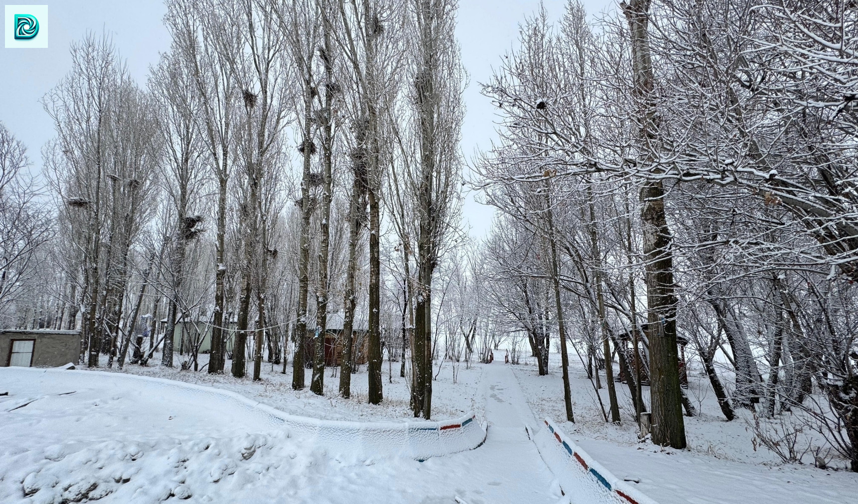 Doğu Anadolu Buz Kesti.. Erzurum, Ardahan, Erzincan, Hakkari, Kars, Ağrı 2