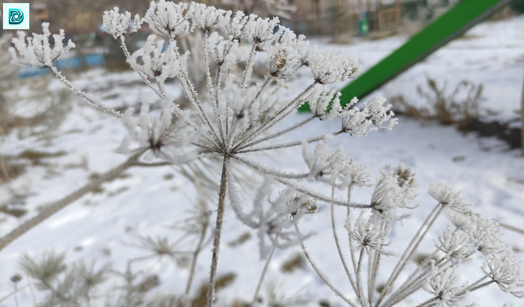 Doğu Anadolu Buz Kesti.. Erzurum, Ardahan, Erzincan, Hakkari, Kars, Ağrı 4