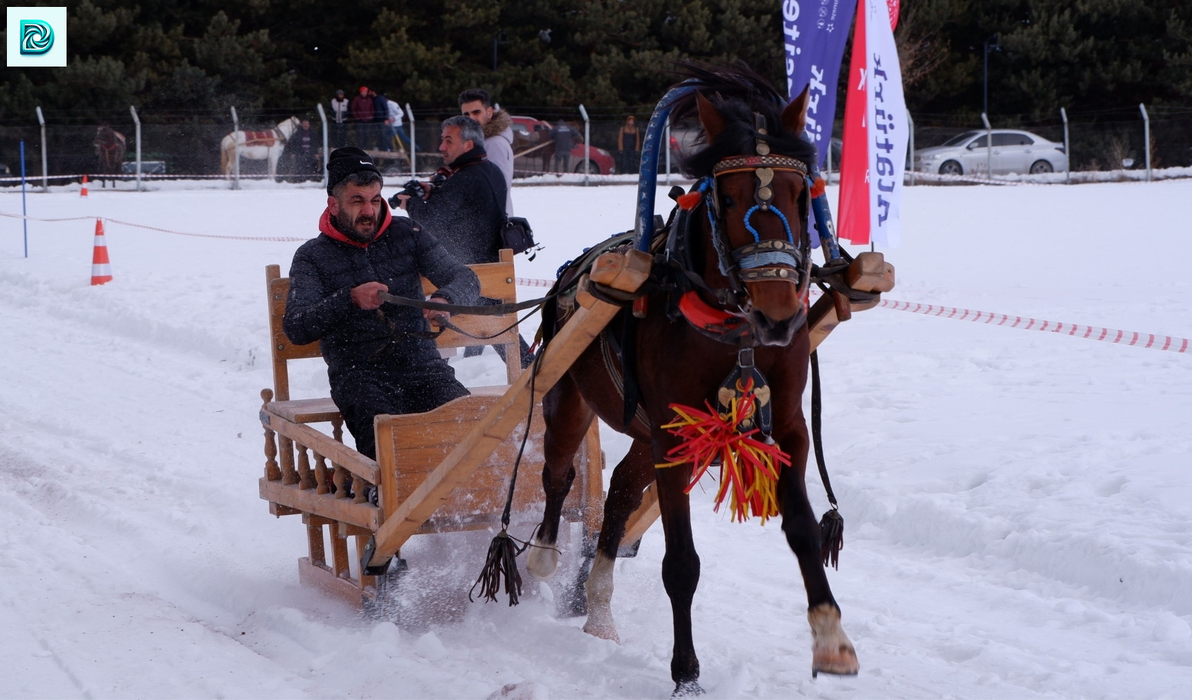 Erzurum'da Atlı Kızak Heyecanı 1