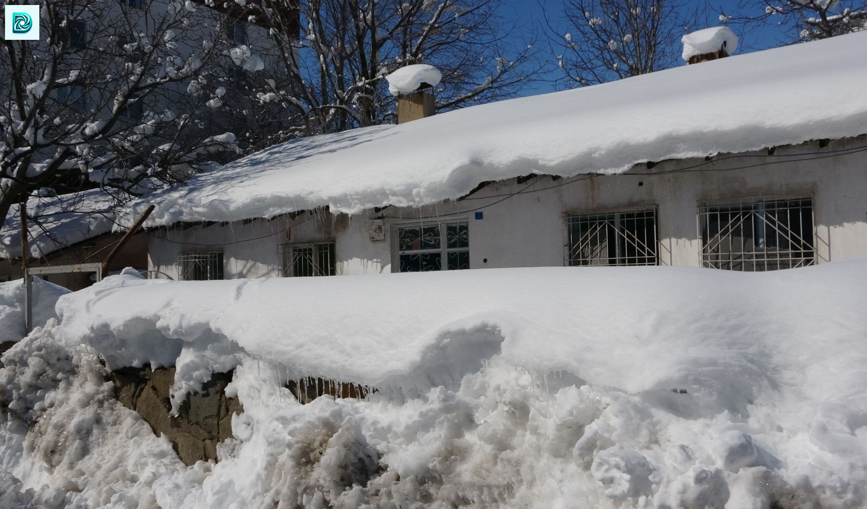 Bitlis’te Tek Katlı Evler Kara Gömüldü (2)